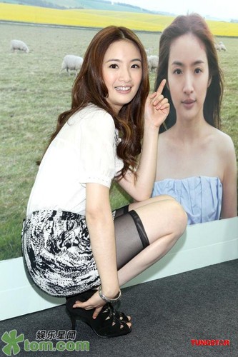 12811628011879135195